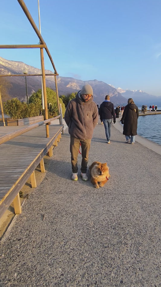 Coaching Canin à Domicile